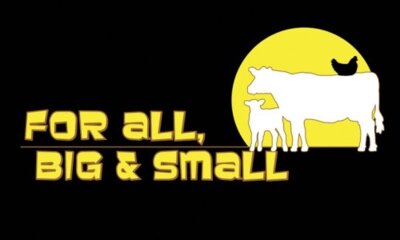 Vegan 